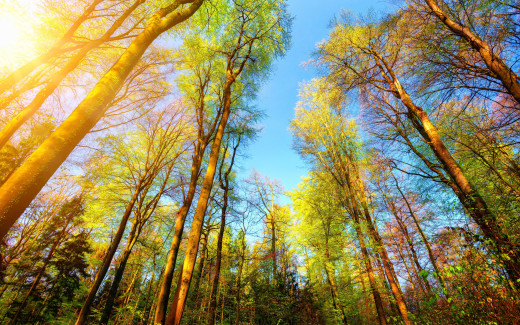 1086877 (a): :2880x1800